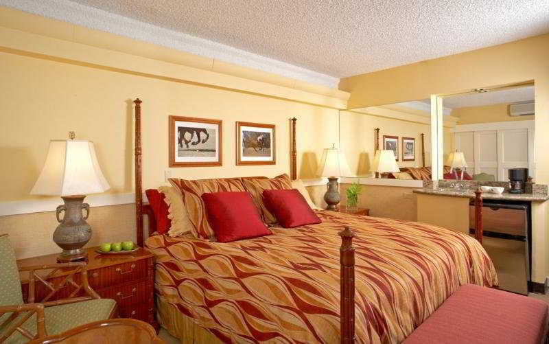 Hotel Equus à Honolulu Chambre photo