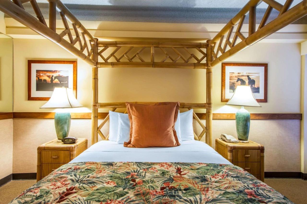 Hotel Equus à Honolulu Extérieur photo