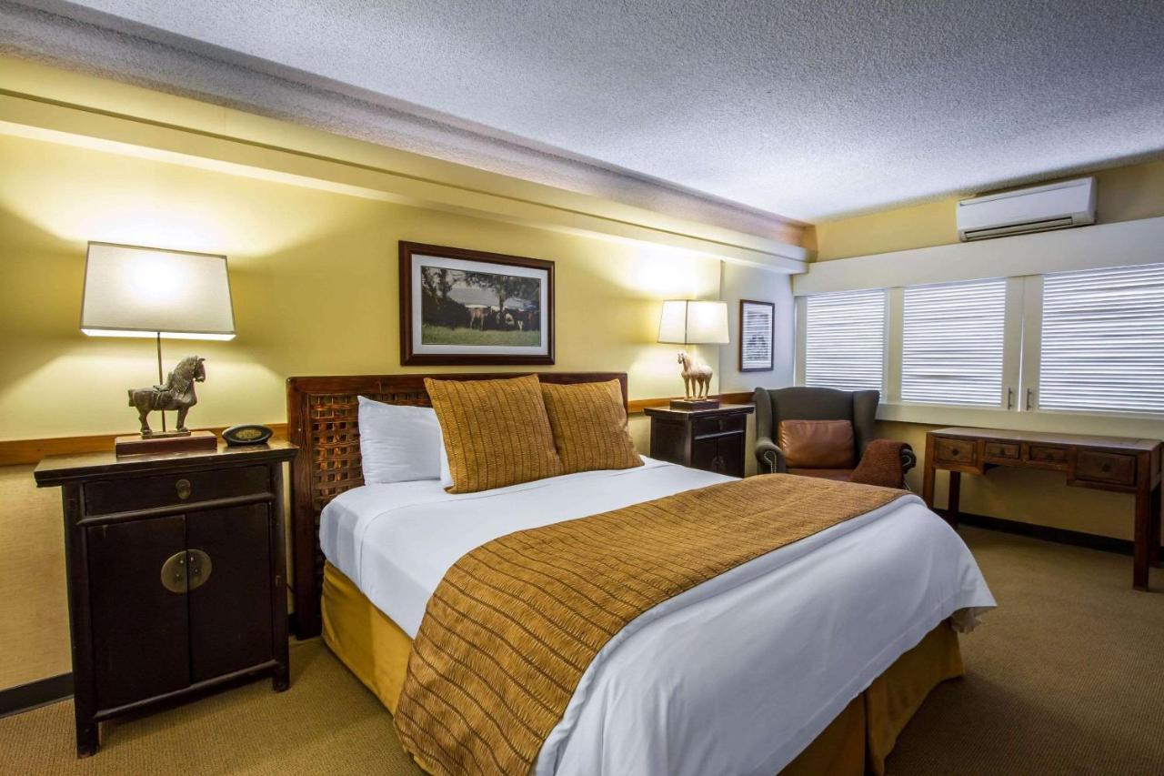 Hotel Equus à Honolulu Extérieur photo